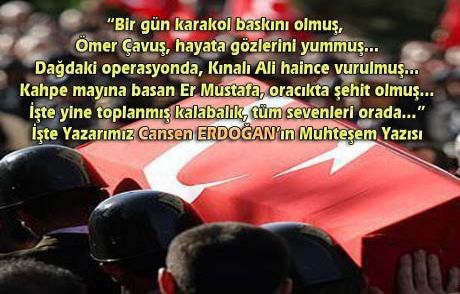 Toprağa Düşen Yıldızlar