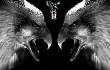 Beşiktaş'a Yabancı Forvet Müjdesi