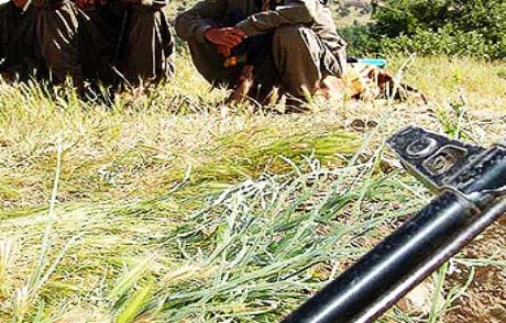 Üst Düzey Pkk'lı Öldürüldü