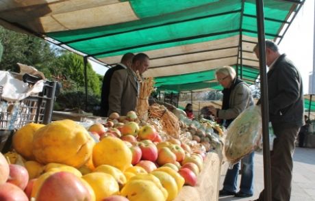 Kocaeli'de Organik Pazar Kuruluyor