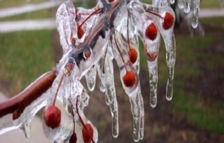 Meteoroloji'den Zirai Don Uyarısı