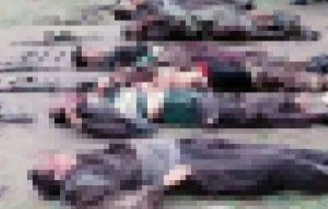 Hakkari'de 14 Pkk'lı Öldürüldü