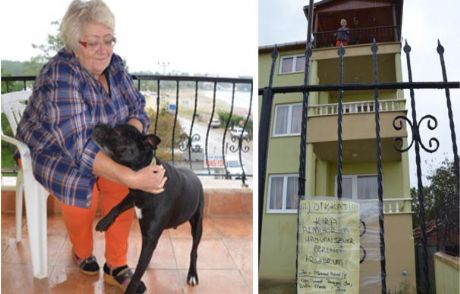 'köpeğime Bak, Evimde Bedava Otur'