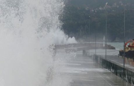 Tsunamiyi Aratmayan Dev Dalgalar