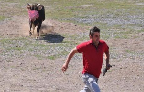 Zincirini Kopartıp Kaçtı