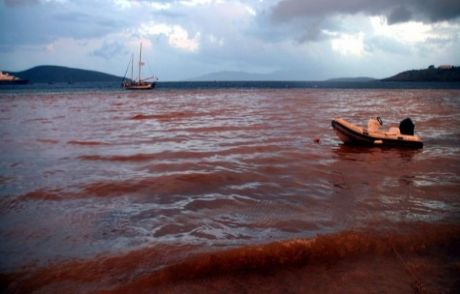 Bodrum'da Denizin Rengi Şoke Etti!