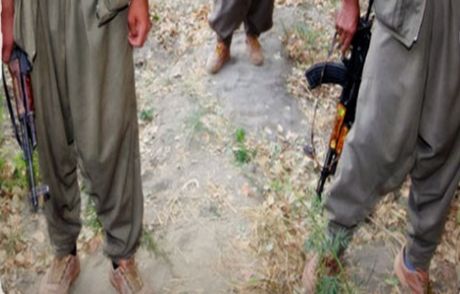 Pkk'nın İki Tepe İsmi Yakalandı