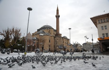 Kuşlara Ve Sahipsiz Hayvanlara Yem Bırakıldı