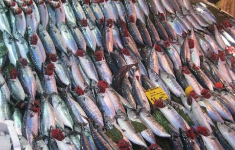 Balık Fiyatlarında Sevindiren Düşüş