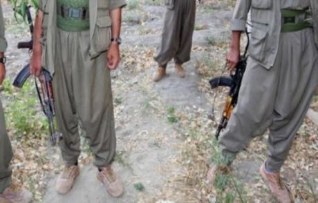 Şırnak'ta Teslim Olan Pkk'lı Sayısı 419