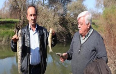 Simav Çayı'nda Toplu Balık Ölümleri
