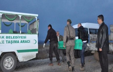 Kardeşini 10 Parçaya Böldü