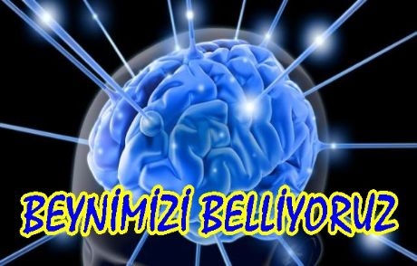 Beynimizi Belliyoruz !...