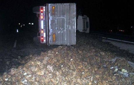 Bilecik'te Pancar Yüklü Tır Devrildi