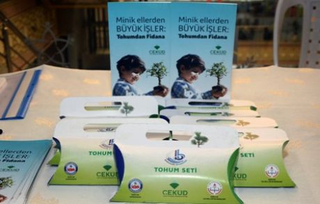 Fıstık Çamı Tohumu Bağcılar'da Yeşeriyor