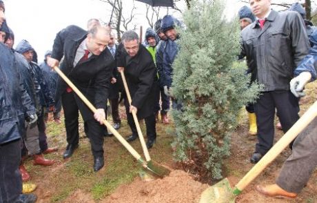 500 Fidan Toprakla Buluştu