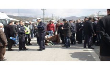 Van'da Trafik Kazası