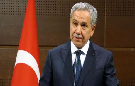 Arınç: Bunu Yapan Hükümet Değil Tib'dir