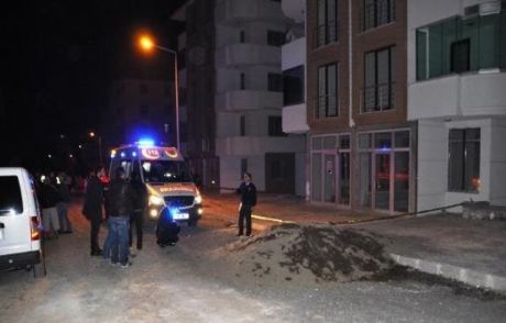 5. Kattan Annesinin Üzerine Atladı