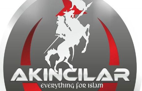 Akıncılar, Mısır Devlet Sitelerine Saldırdı
