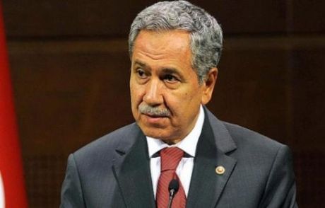 Bülent Arınç'tan 'kedicik' Eleştirisi