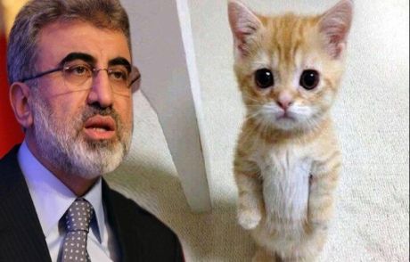 Trafoya Giren Kedi Bbc'nin 1 Nisan Listesinde