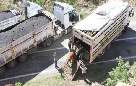 Yol Tır'larla Kapandı!