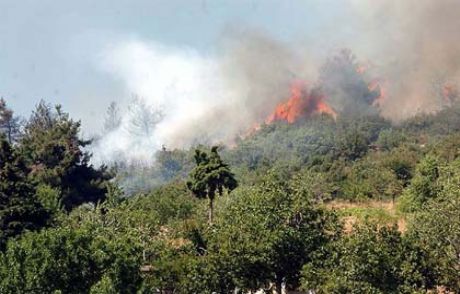 Kahramanmaraş'ta Orman Yangını