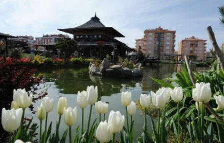 Konya'da 'lale Mevsimi' Bir Başkadır