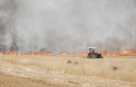 Diyarbakır'da Korkutan Yangın