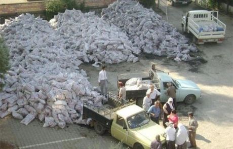 'seçim İçin Yaz Ortasında Kömür Dağıtılıyor'