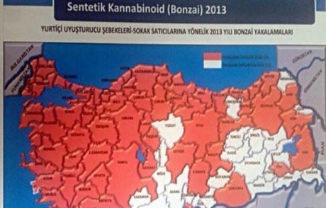 Bonzai Kullanımında Korkunç Gerçek