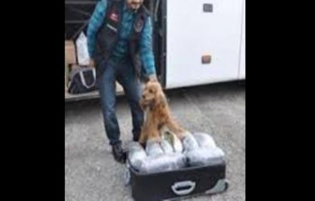 Otobüsten 181 Kilo Esrar Çıktı