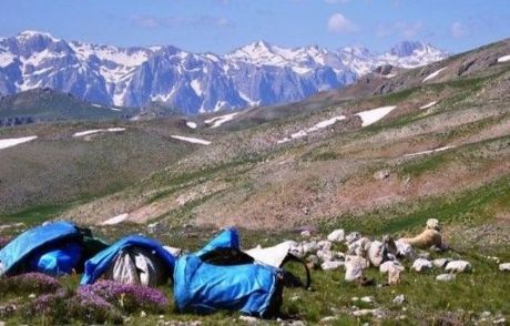 Pkk, Tunceli'de 2 Kardeşi Kaçırdı