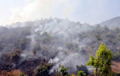Alanya'da Korkutan Orman Yangını