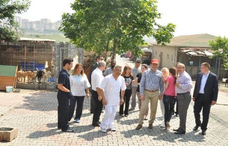 Hayvan Hakları Korunuyor