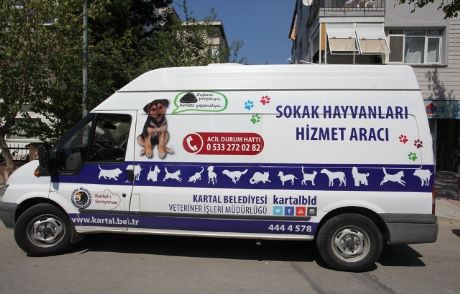 Kartal'da Sokak Hayvanları Güvende