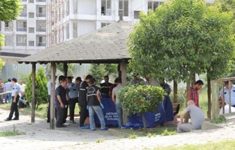 Kağıthane'de Bonzai Yine Can Aldı