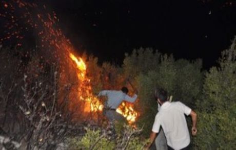 Sosyal Medya Yangını Söndürdü