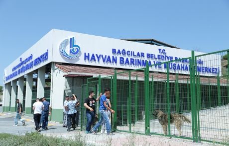 5 Yıldızlı Hayvan Barınağı