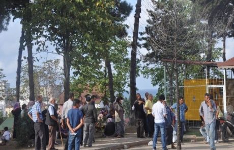 Kumru'da Trafik Kazası