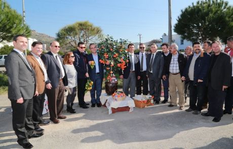 'mandalina Şenliği' Başladı