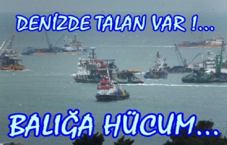 Balığa Hücum! ...