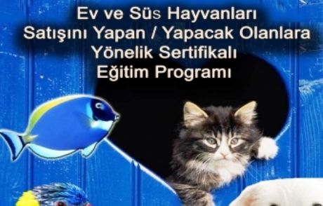Muğla Belediyasinden Sertifikalı Eğitim Programı