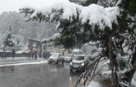 Bitlis Kar Yağışının Etkisinde