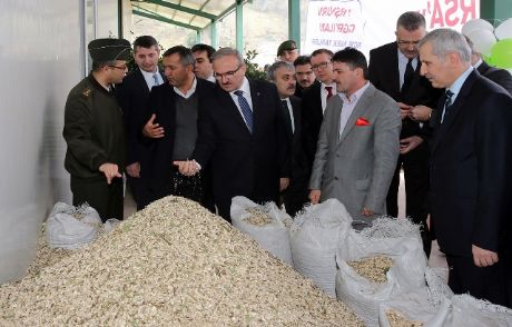 Kurşunlu'ya Defne Kurutma Tesisi