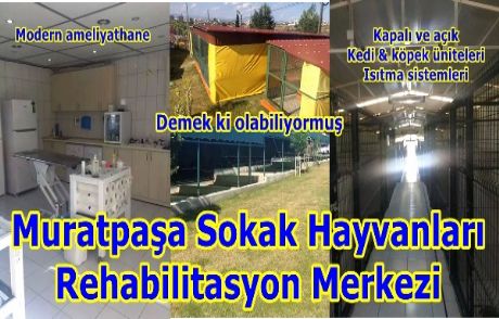 Bu 'barınak' Çok Farklı!...
