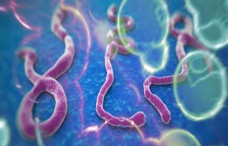 Kıbrıs Rum Kesiminde Ebola Alarmı