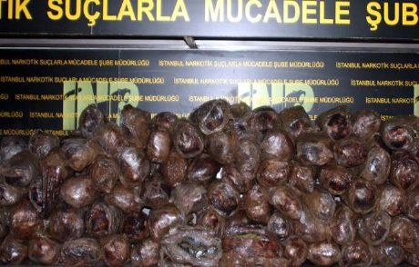 İstanbul'da 120 Kilo Esrar Ele Geçirildi