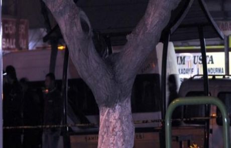 Gaziantep'te Ağaçtaki Çanta Paniğe Yol Açtı